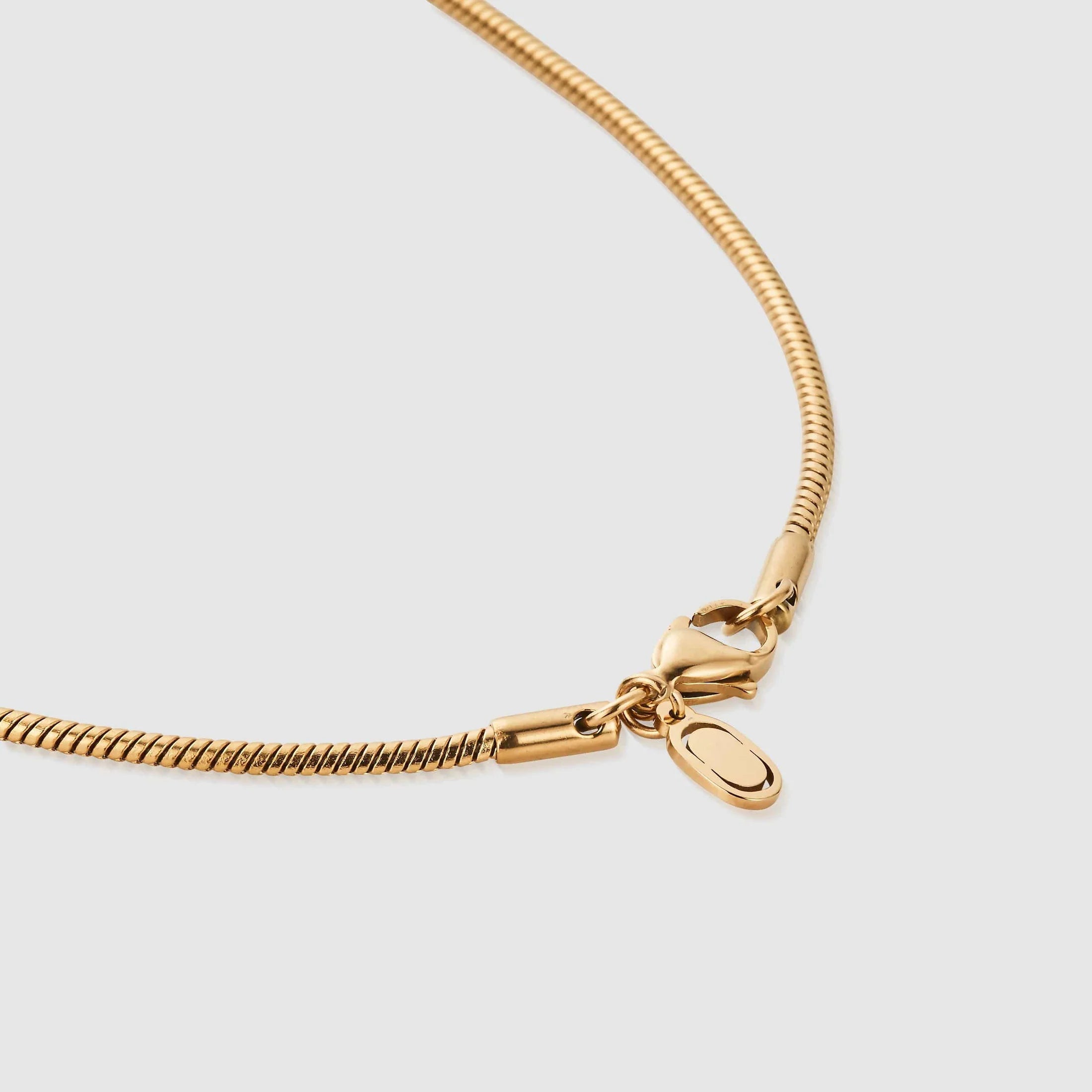 Snake Chain (Gold) 2MM